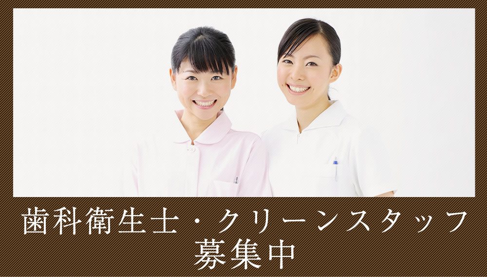 歯科衛生士・助手・事務の求人